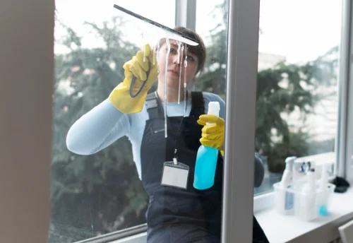 Nettoyage de vitres intérieures et extérieures à Dommarien